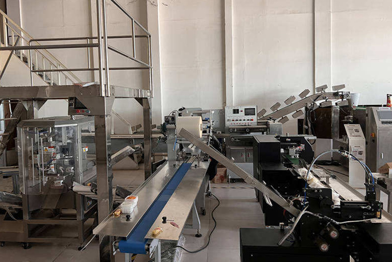 MC-601 Intelligent Pillow Type Packing Machine
